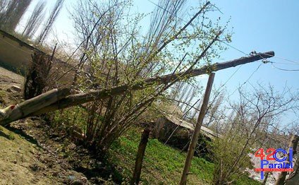 Külək ağacları aşırdı