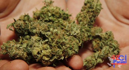 2 kilo yarım marixuana gizlətdi, 6 il iş aldı
