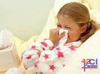 Gürcüstanda 27 nəfər “donuz qripi”nə yoluxub