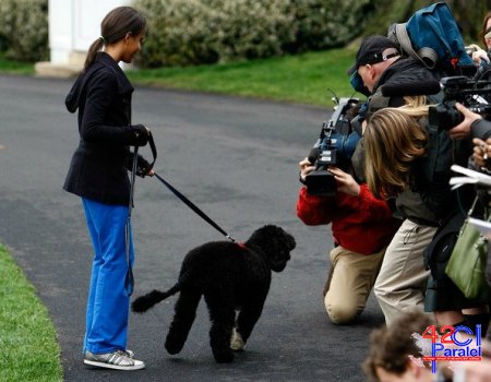 Eks prezidentin "oğlu" Obamanın evini qarət etmək istədi (FOTO)