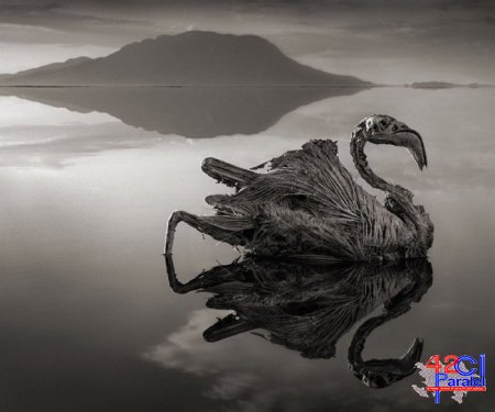 Dünyanın ən təhlükəli gölü (FOTO)
