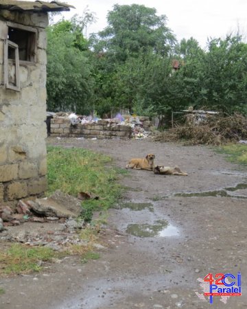 ZƏRDAB RAYON İCRA BAŞÇISI VƏ ONUN ƏLALTILARI İLƏ ÖZBAŞINALIQLARI RAYONDA HOKM SÜRÜR.