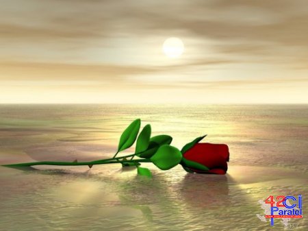 Poeziya dəqiqələrindən bir parça