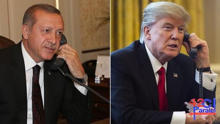 Ağ Ev Tramp-Ərdoğan danışığının təfərrüatlarını açıqlayıb