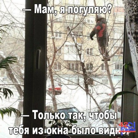 РОДИЛА НЕМКА, ЕВРЕЙКА, РУССКАЯ. ДЕТЕЙ ПЕРЕПУТАЛИ...
