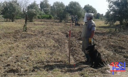 Agentlik tərəfindən Cəbrayıl rayonunun Cocuq Mərcanlı kəndində  aparılan təmizləmə əməliyyatları barədə