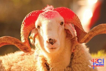 Qurban bayramında istirahət günlərinin sayı açıqlandı