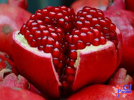 Xərçəngin qarşısını alan ən təsirli məhsul müəyyən edildi