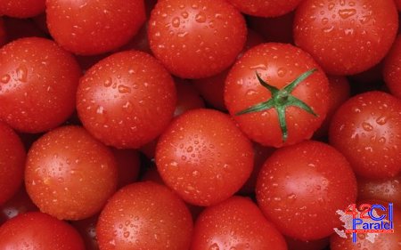 Rusiya Azərbaycan pomidorlarını geri qaytardı