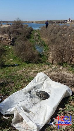 Sumqayıt şəhəri ərazisində keçirilmiş   əməliyyat