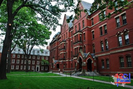 Harvard universitetinin direktoru Azərbaycan xalqından üzr istədi